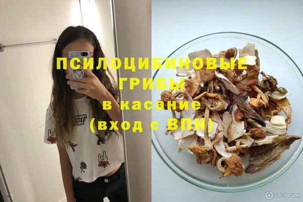 дмт Балахна